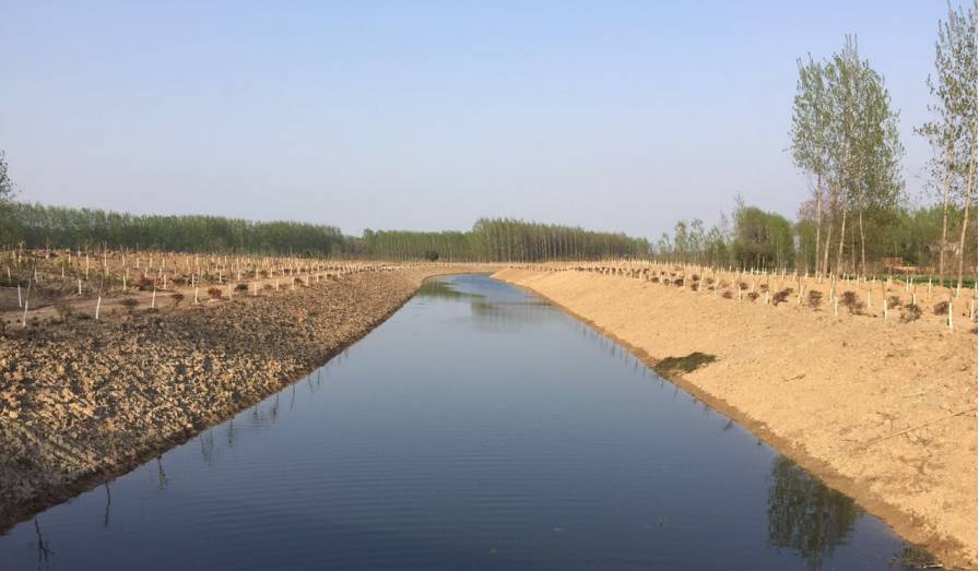 亳州建工承建的亳药花海大世界项目顺利通过验收